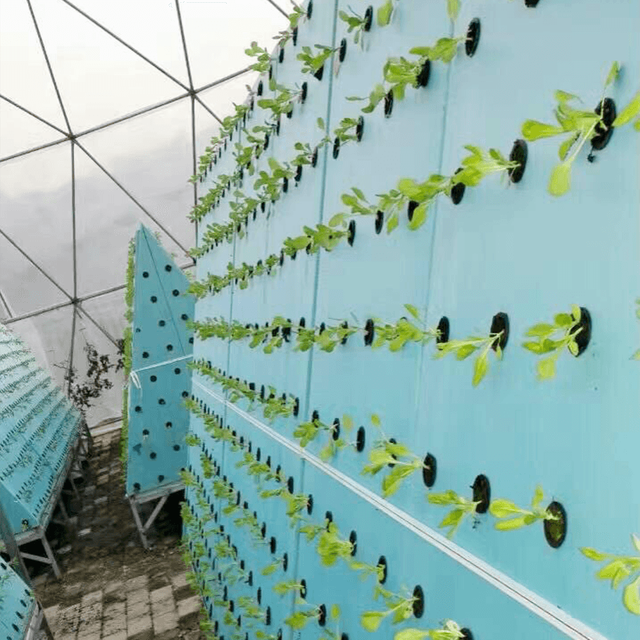Lightweight Waterproof Insulation Board for Hydroponic
