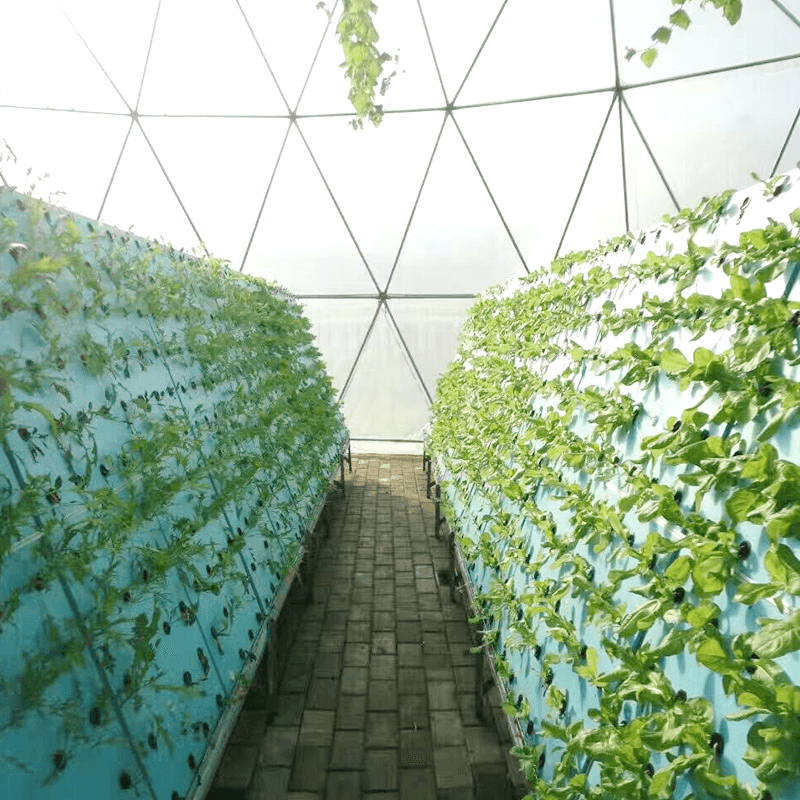 hydroponic