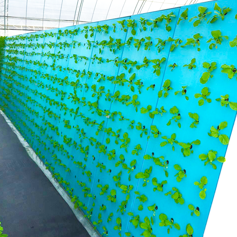 Lightweight Waterproof Insulation Board for Hydroponic